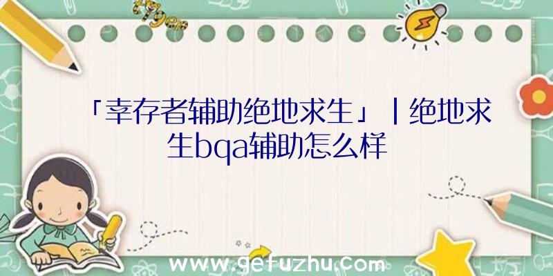 「幸存者辅助绝地求生」|绝地求生bqa辅助怎么样